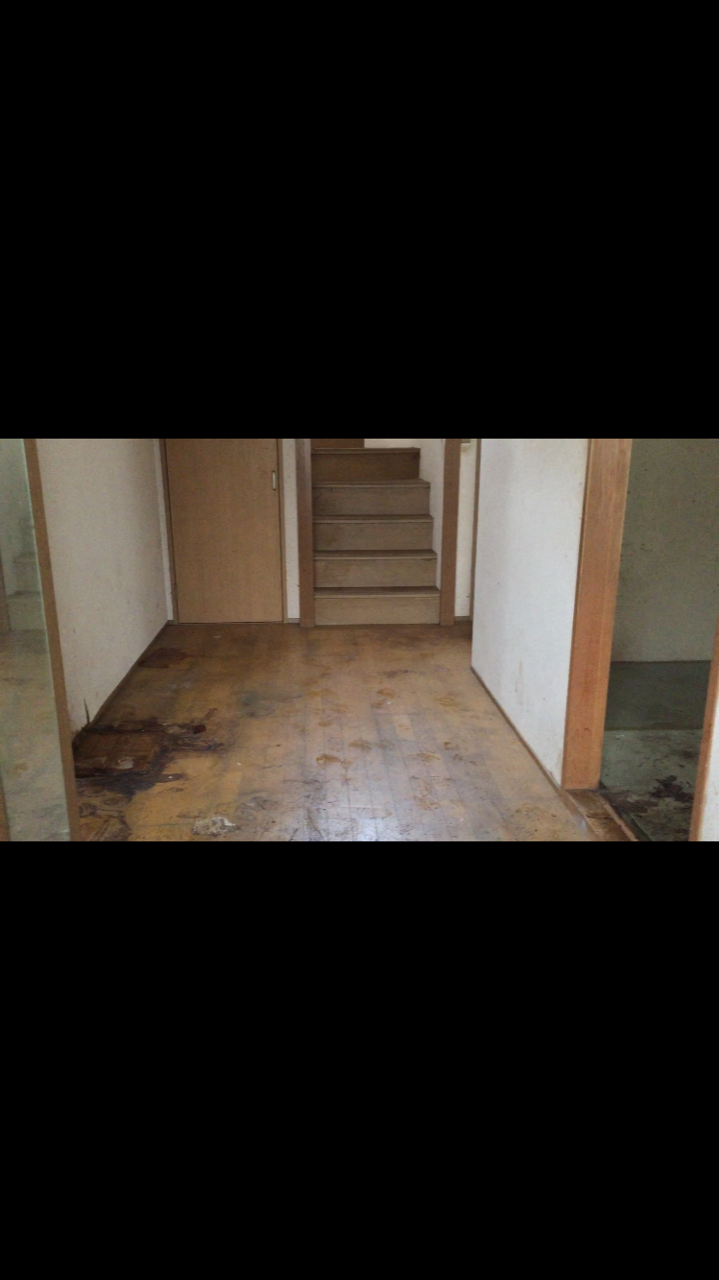ゴミ屋敷清掃 ゴミ屋敷清掃